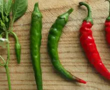 Grüne oder rote Chili - welche ist schärfer