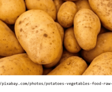 Keimstopp für Kartoffeln kaufen - darauf sollten Sie achten
