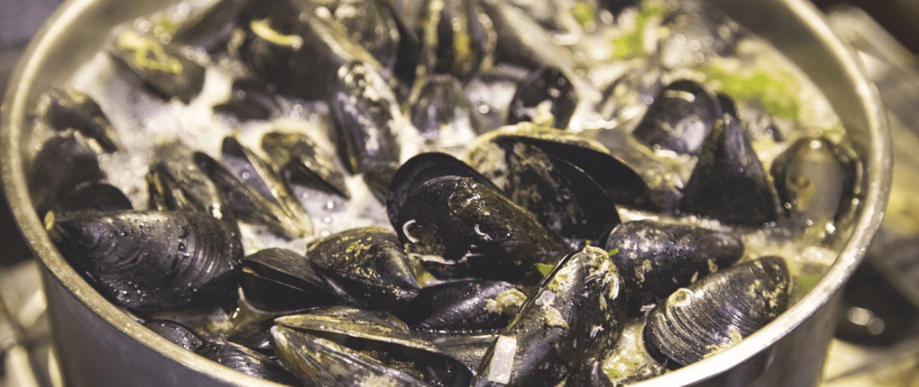 Gefrorene Muscheln Gehen Beim Kochen Nicht Auf kochkosmos.com