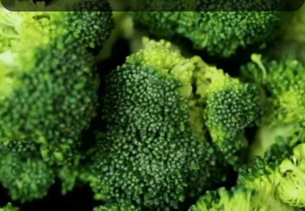 Brokkoli braun noch essbar - Aufklärung & Tipps