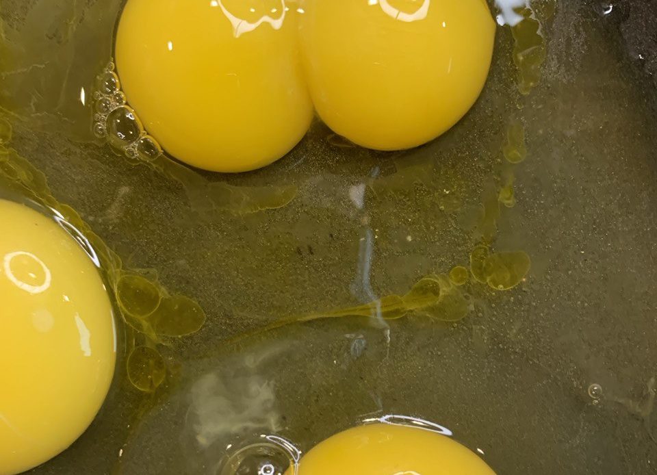 2 Dotter Eigelb in einem Ei