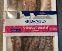 Glasierter Tiefkühl Octopus
